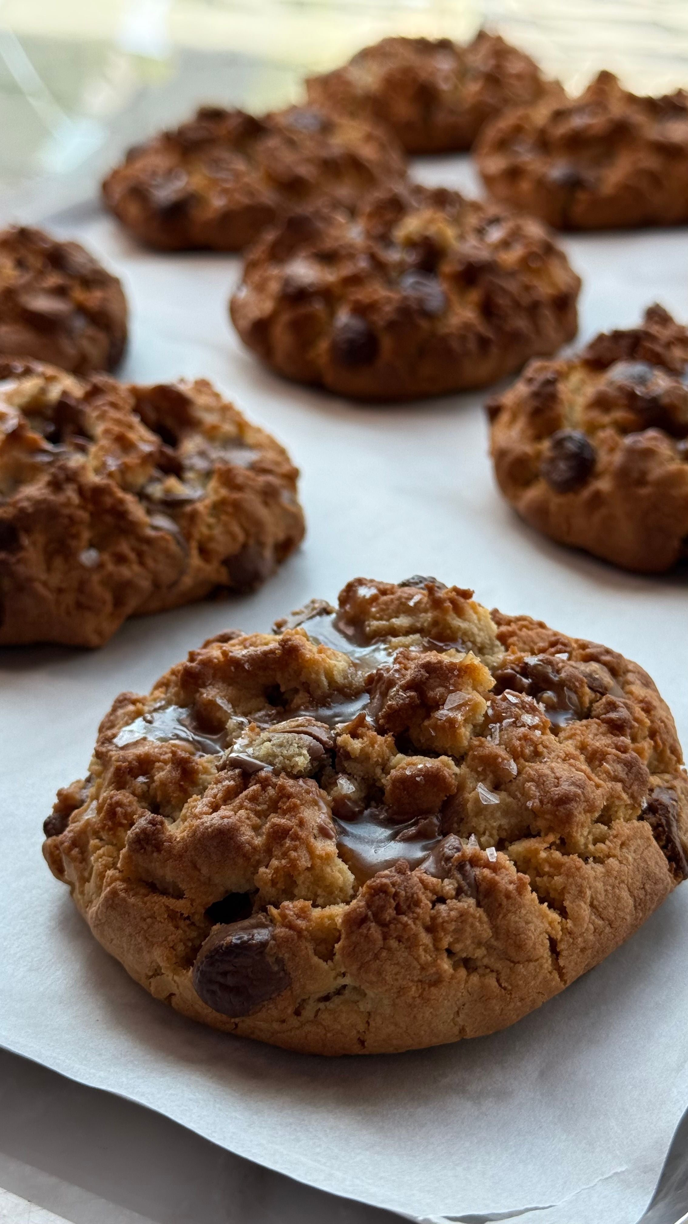 Macadamia Chocolate Chunk Jumbo Cookie